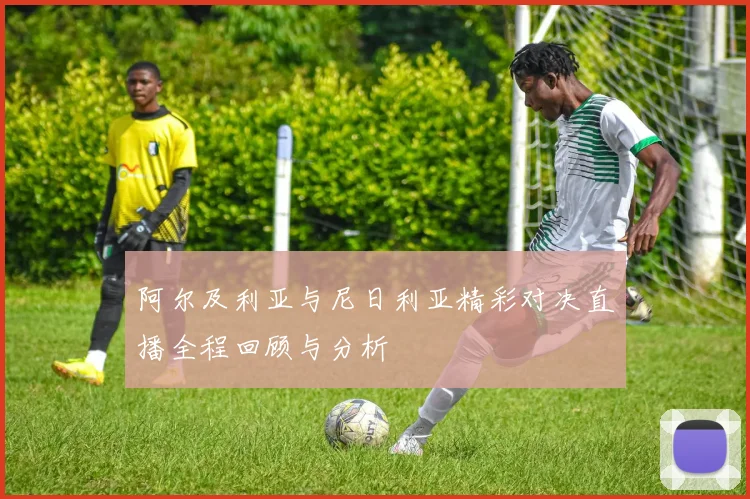 阿尔及利亚与尼日利亚精彩对决直播全程回顾与分析