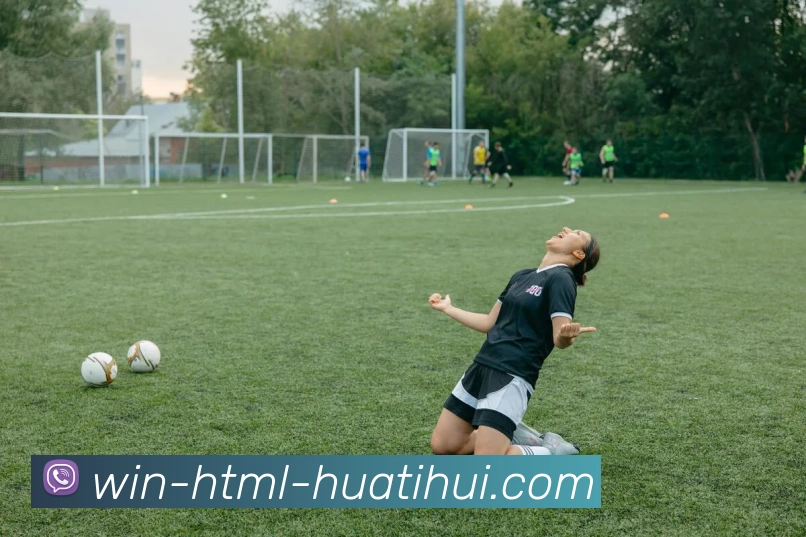 华体会APP 封面图